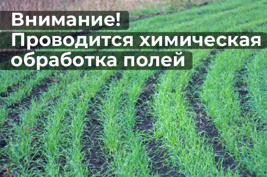 ООО &quot;Агрофирма &quot;Чуваши&quot; уведомляет о проведении весенних полевых работ с применением агрохимикатов.