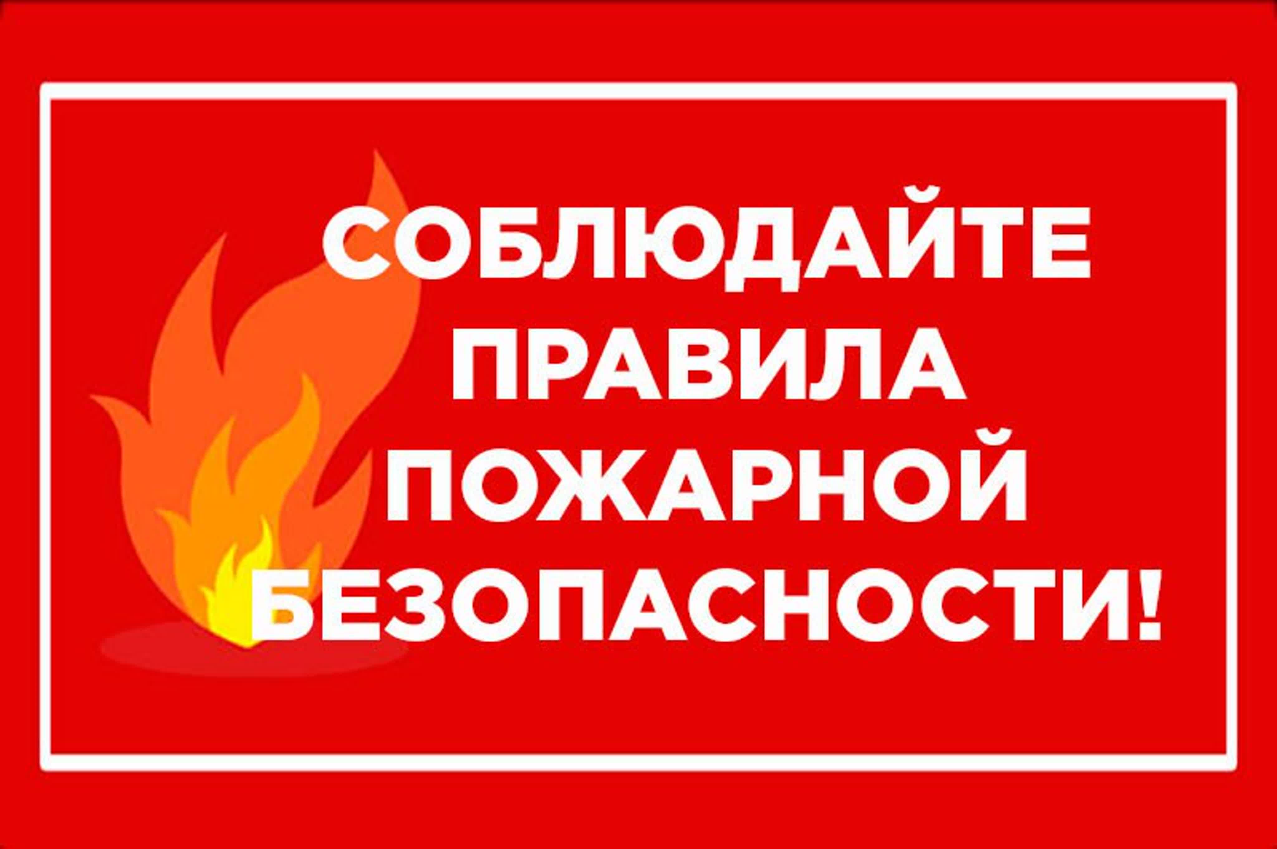 Заметка о профилактике пожаров по причине детской шалости с огнем.